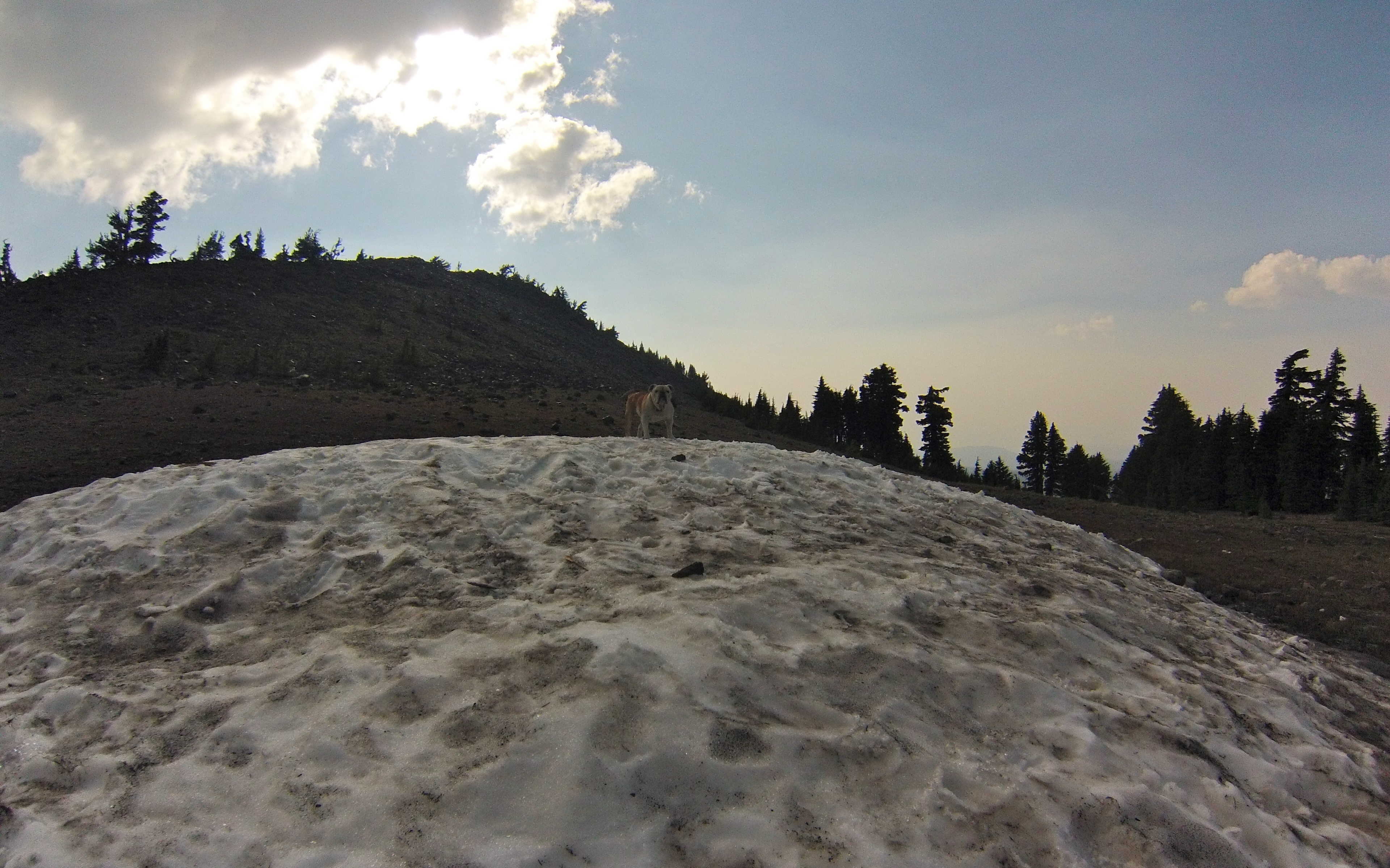 DCIM100GOPRO
